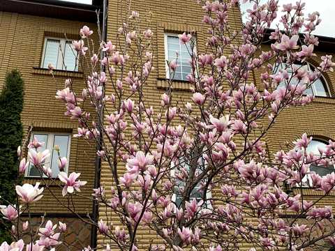 будинок за адресою Перемоги, 15