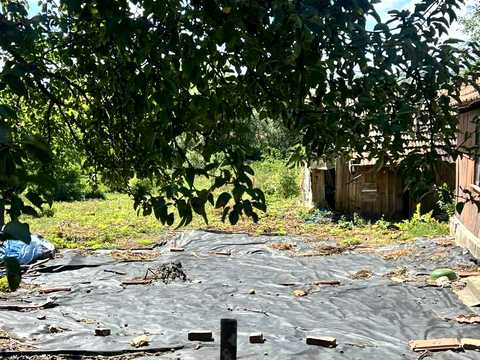 участок по адресу Дмитровичі, 114