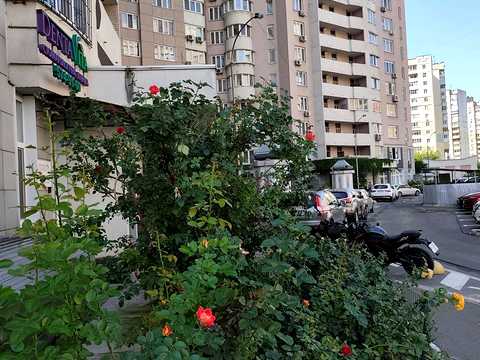 квартира за адресою Срібнокільська вул., 1