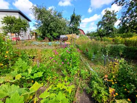 ділянка за адресою Кільцева вул.