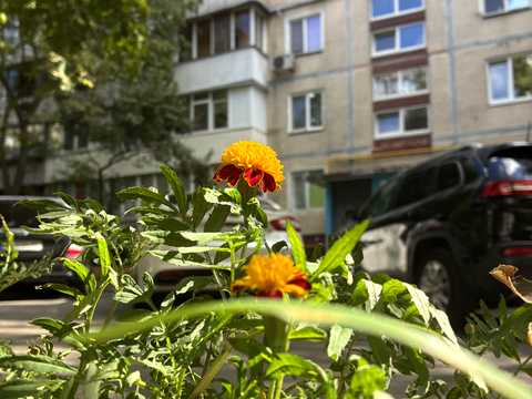 квартира по адресу Академика Булаховского ул., 28-Б