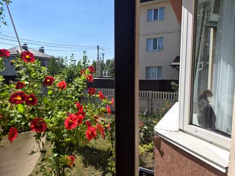 квартира по адресу Ялтинская ул., 24