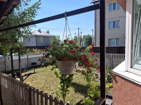 квартира по адресу Ялтинская ул., 24
