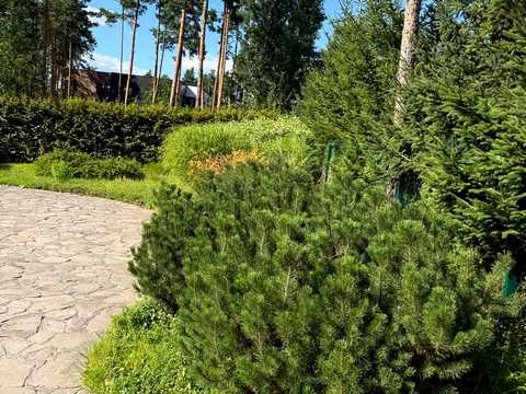 будинок за адресою Набережна вул.