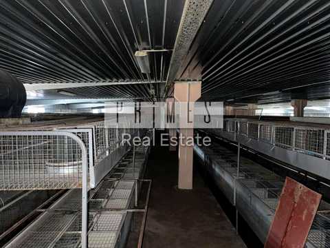 коммерческая по адресу с. Лукьяновка, Щаслива вул., 82