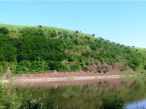 дом по адресу Дністерська, 44