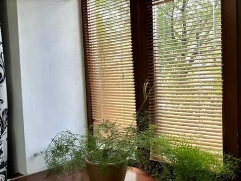 квартира по адресу Академика Студинского ул., 20