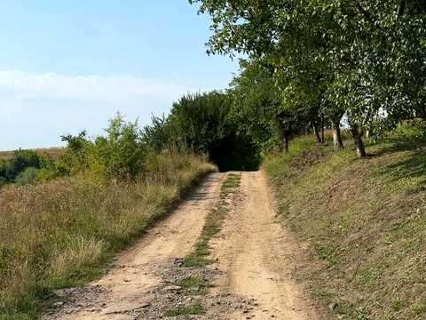 ділянка за адресою Щаслива вул.