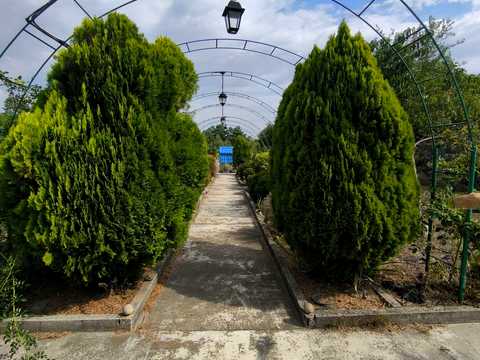 дом по адресу Лінія 8, 9