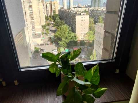 квартира за адресою Дніпровська набережна вул., 3