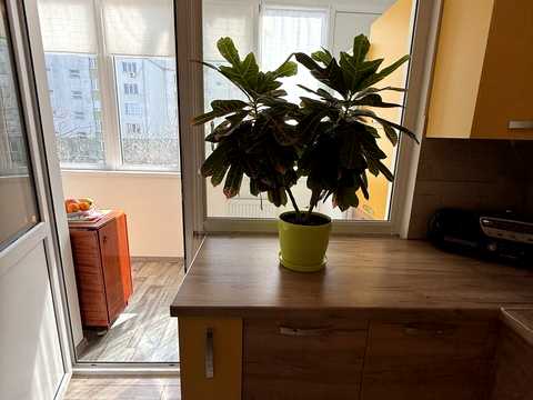квартира за адресою Йосифа Сліпого вул., 26