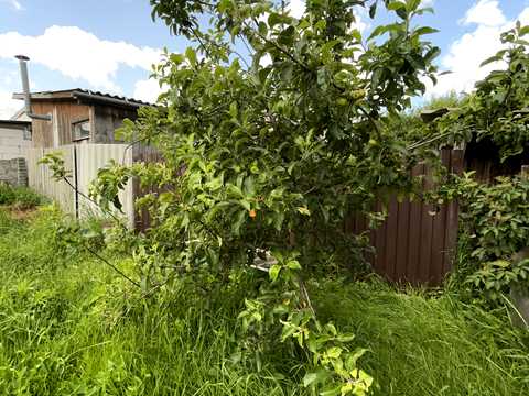 будинок за адресою Червоногородська, 13