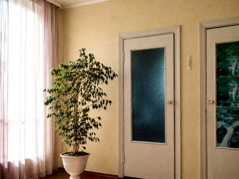 квартира за адресою Ромни, Пригородська, 230