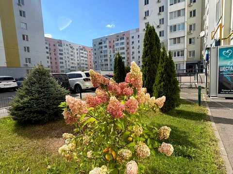 квартира за адресою Ньютона вул., 110