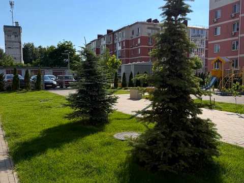 комерційна за адресою Гетьманська вул., 5