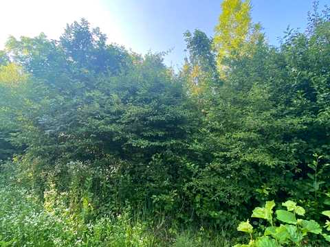 ділянка за адресою Вулшава