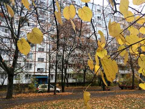 квартира за адресою Амосова вул. (Корчагінців), 5