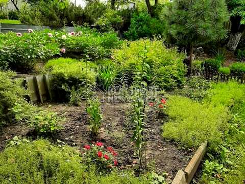 будинок за адресою смт. Коротич, ярковий провулок, 66