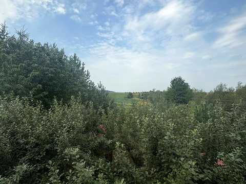 будинок за адресою с. Репехів, Львівська