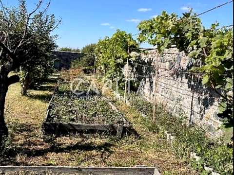 дом по адресу Білоцерківська, 37
