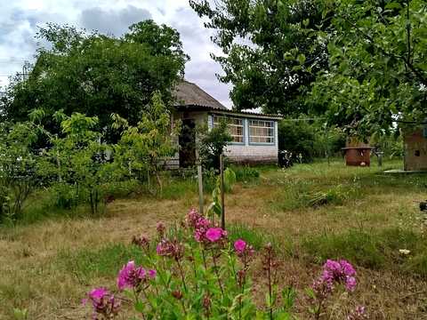 будинок за адресою Центральна, 1