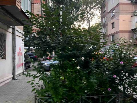 квартира за адресою Сегедська вул., 15б