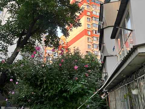 квартира за адресою Сегедська вул., 15б