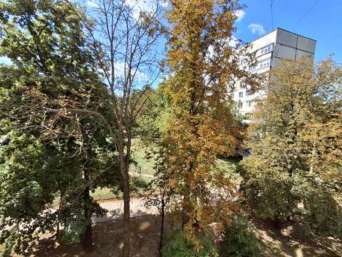 квартира по адресу Гвардейцев-Широнинцев ул., 81