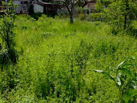 дом по адресу Чепурна ул. (Гастелло), 39