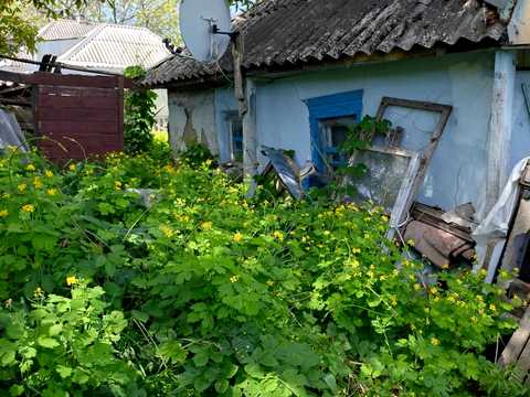 дом по адресу Чепурна ул. (Гастелло), 39