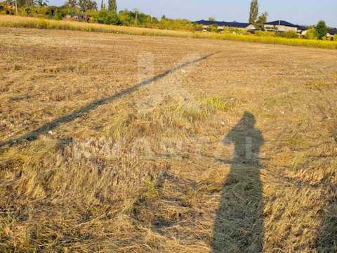 участок по адресу Прорізна, 19