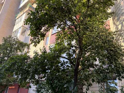 квартира за адресою Полковника Морозенка вул., 7
