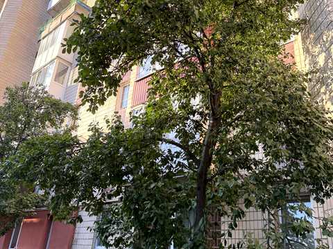 квартира за адресою Полковника Морозенка вул., 7