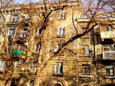 квартира по адресу Базарная ул., 81