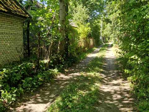 участок по адресу с. Солонка,