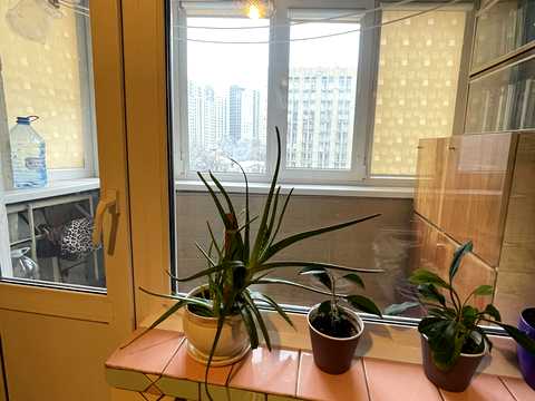 комната по адресу Голосеевский просп. (40-летия Октября), 21