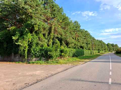 ділянка за адресою с. Максим, Пповулок Придеснянський