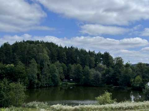 ділянка за адресою с. Ставки, 