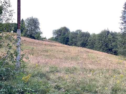 ділянка за адресою Шевченка
