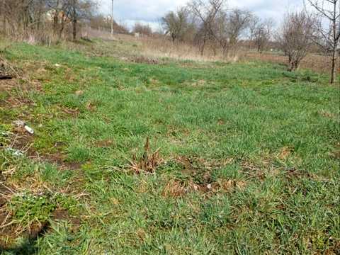 будинок за адресою Мічуріна