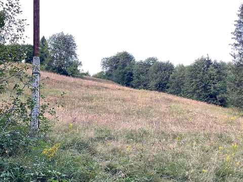 ділянка за адресою Тараса Шевченка