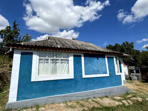 дом по адресу Лісова
