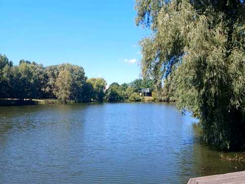 квартира за адресою Ювілейний пров., 2/6