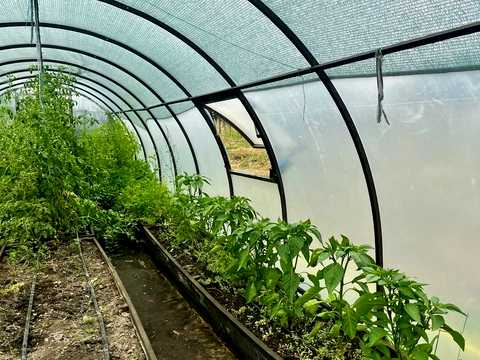 будинок за адресою Підгородне, Дніпровська