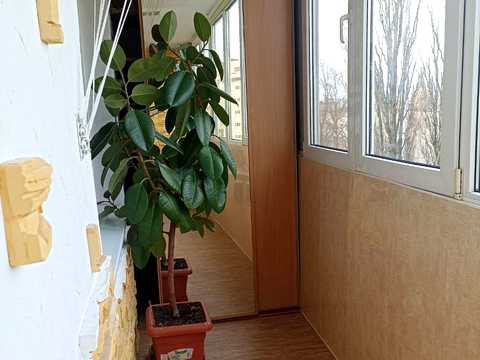 квартира за адресою Дегтярівська вул., 15-Б