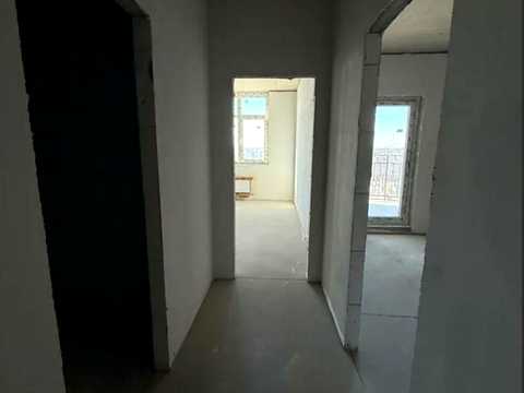 1874594279493826