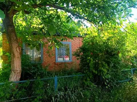 дом по адресу Ромашкова ул., 1