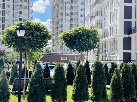 квартира за адресою Михайла Максимовича вул. (Онуфрія Трутенка), 24-В