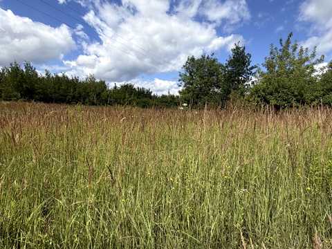 ділянка за адресою Городок, Черлянське передмітя