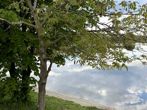 будинок за адресою Селекційна вул., 59